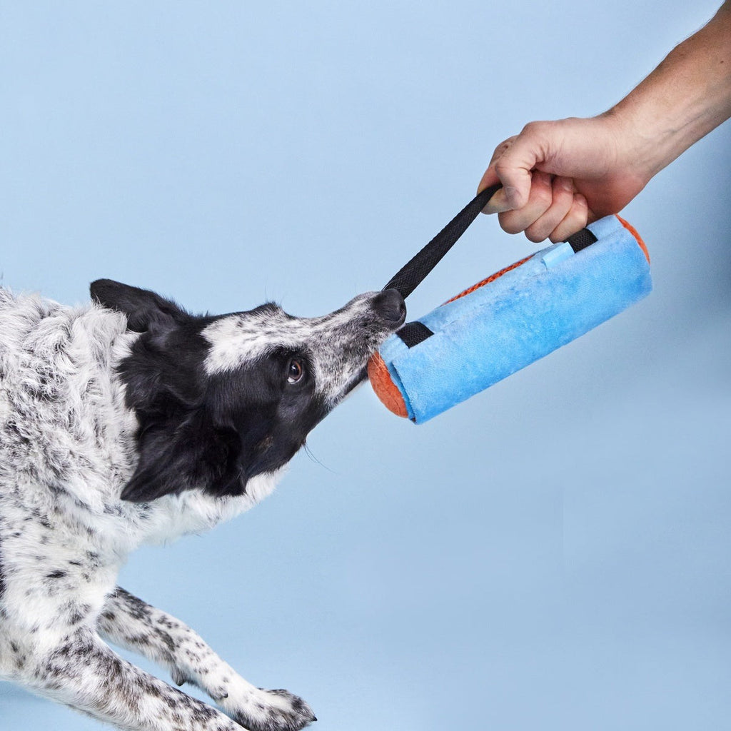 Yogrrr Mat Plush Tug + Enrichment Dog Toy