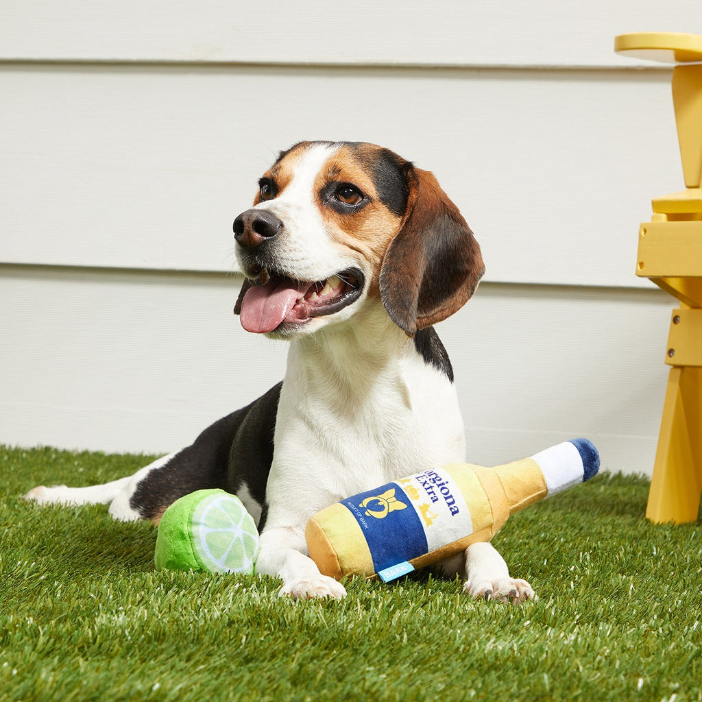 Corgiona With Lime Plush Multi-Part Dog Toy