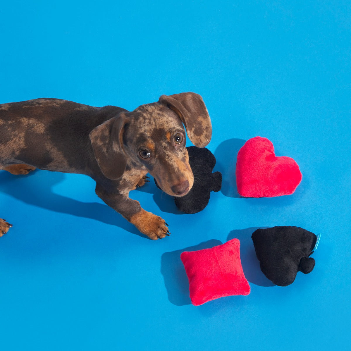 Fur Of A Kind Plush Multi-Part Dog Toy
