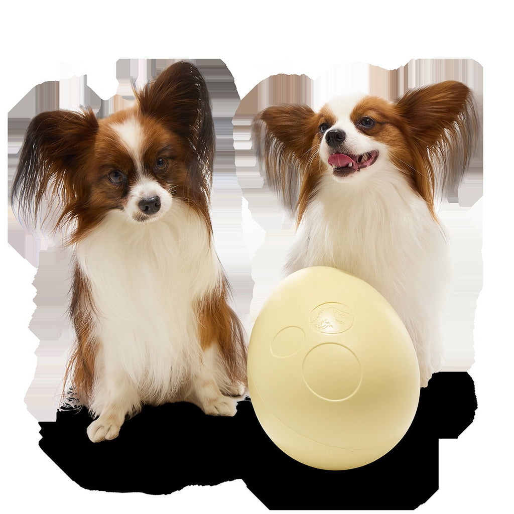 Dinosaur Egg Super Chewer Durable Extra-Large + Fetch Dog Toy