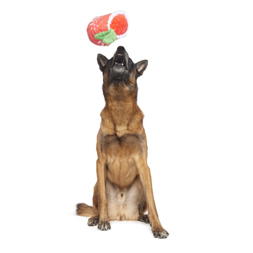 Jingle Juice Plush Dog Toy