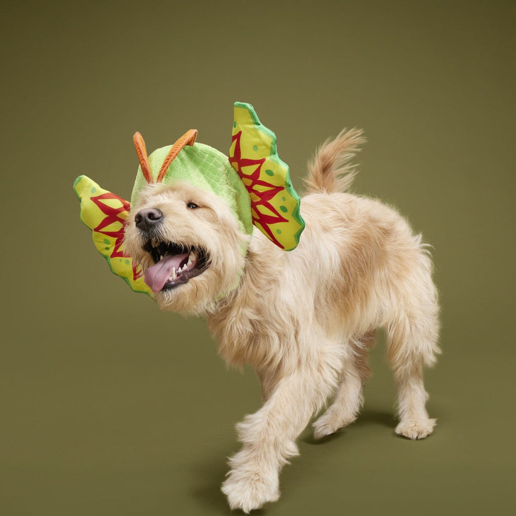 Spittin' Image Dino Collar Plush Wearable Dog Toy