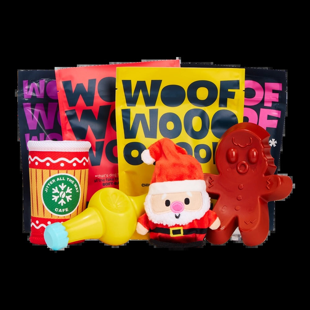 BARK 6 Month Subscription - FREE Extra Toys with Cardboard Box