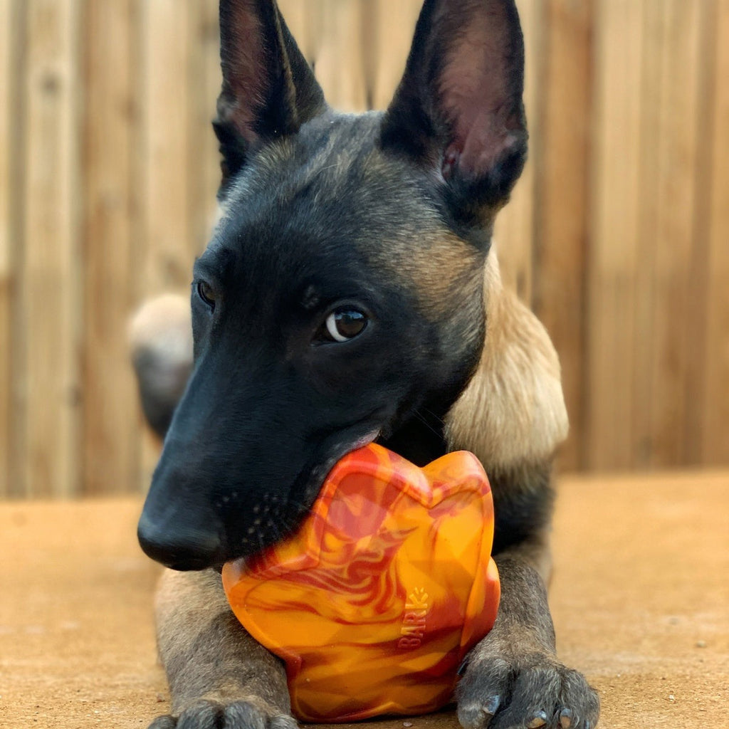 Mighty Maple Leaf Super Chewer Durable Gnaw Dog Toy
