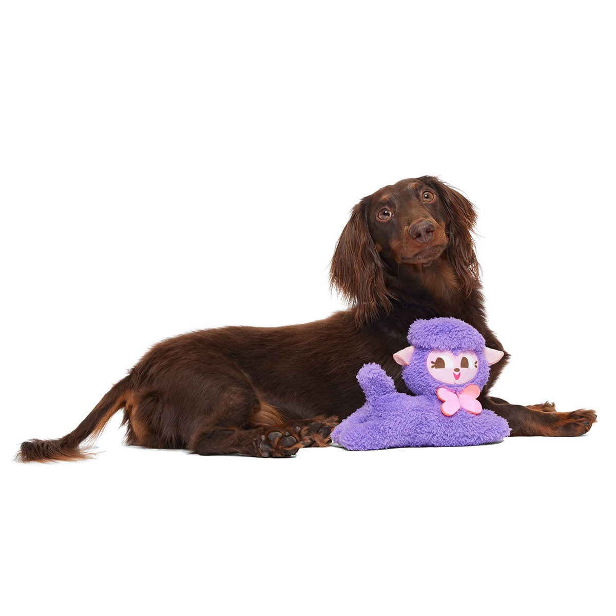 Lil' Bo Squeak Plush Tug Dog Toy