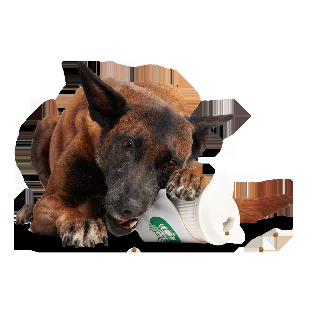 Pupkin Spice Yappuccino Super Chewer Durable 2-in-1 + Enrichment Dog Toy