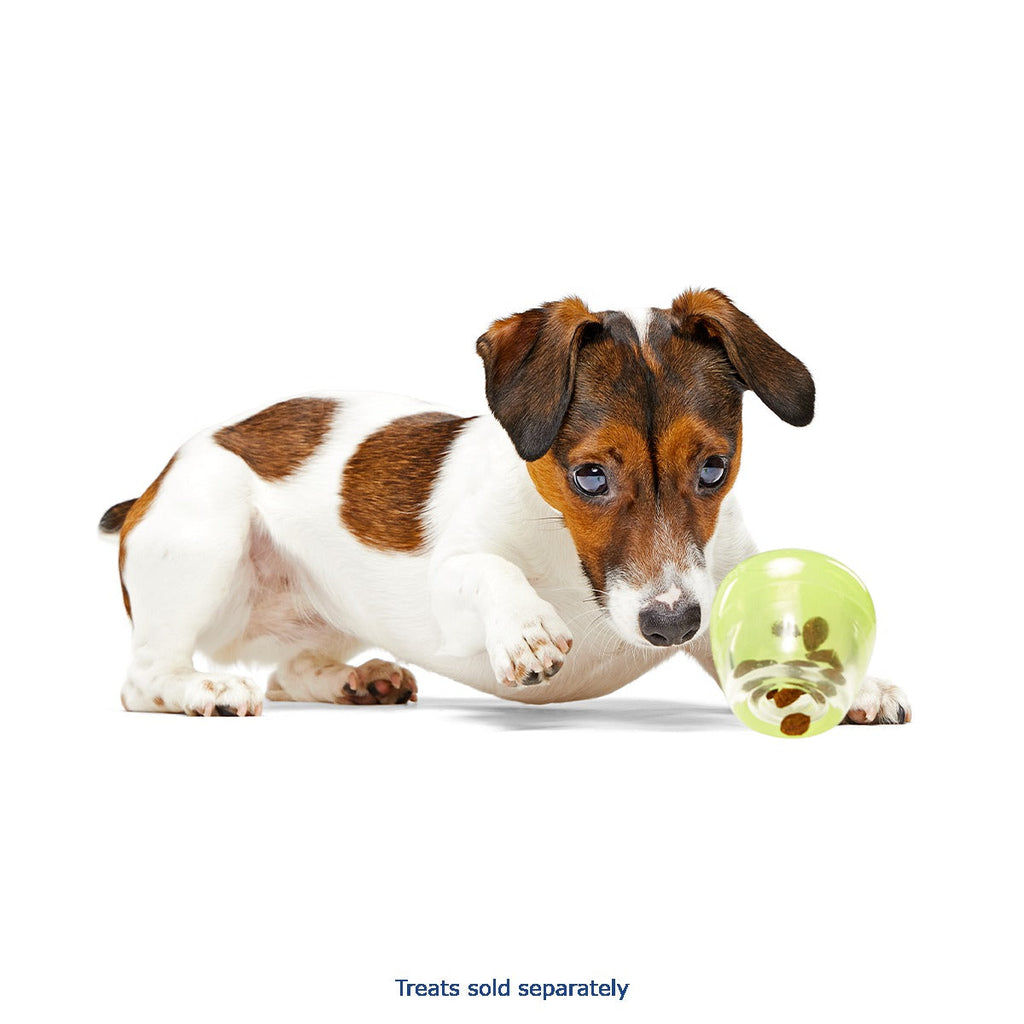 Tipsy Margarita Super Chewer Durable Enrichment Dog Toy