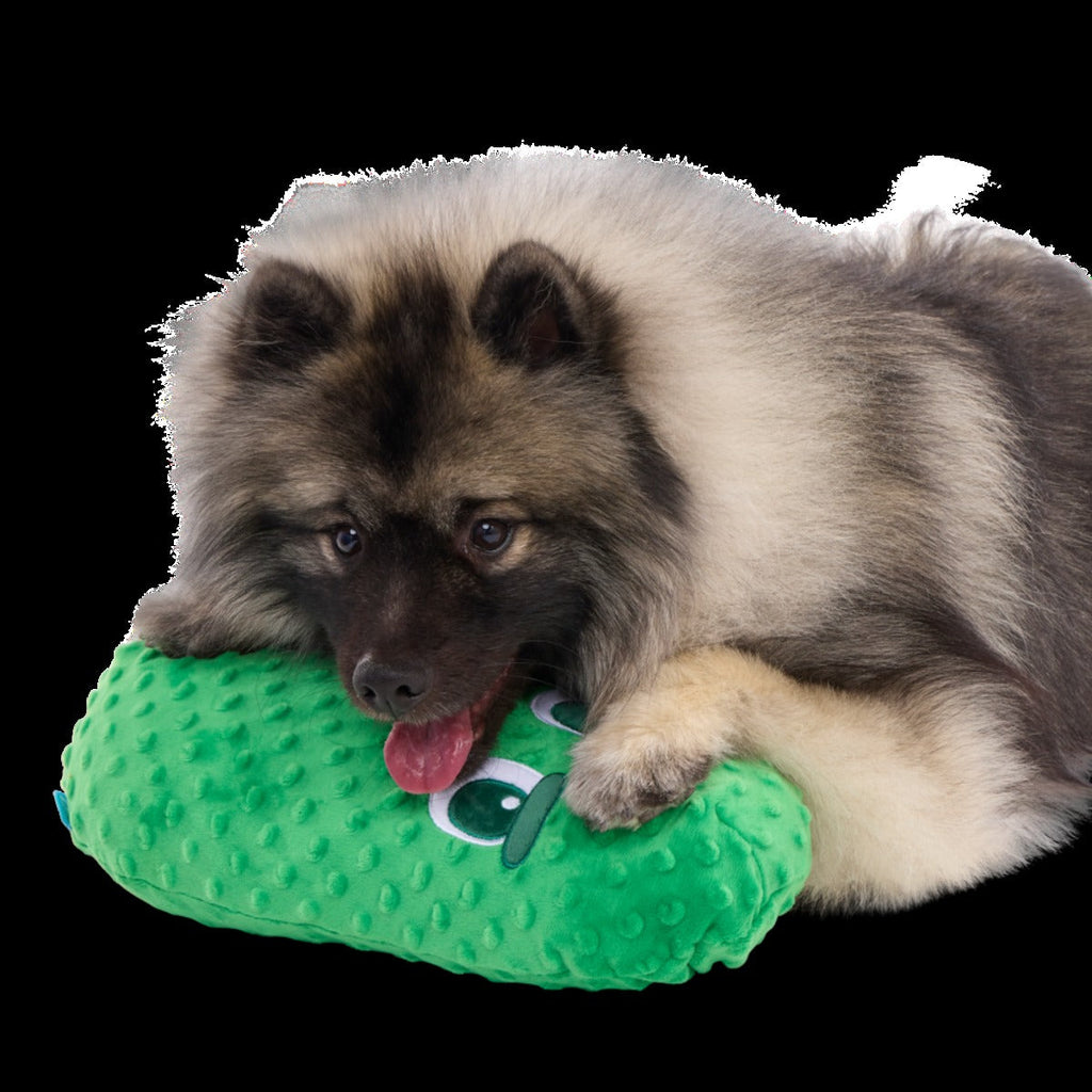 Big Dill Bill Plush Extra-Large + Tug Dog Toy