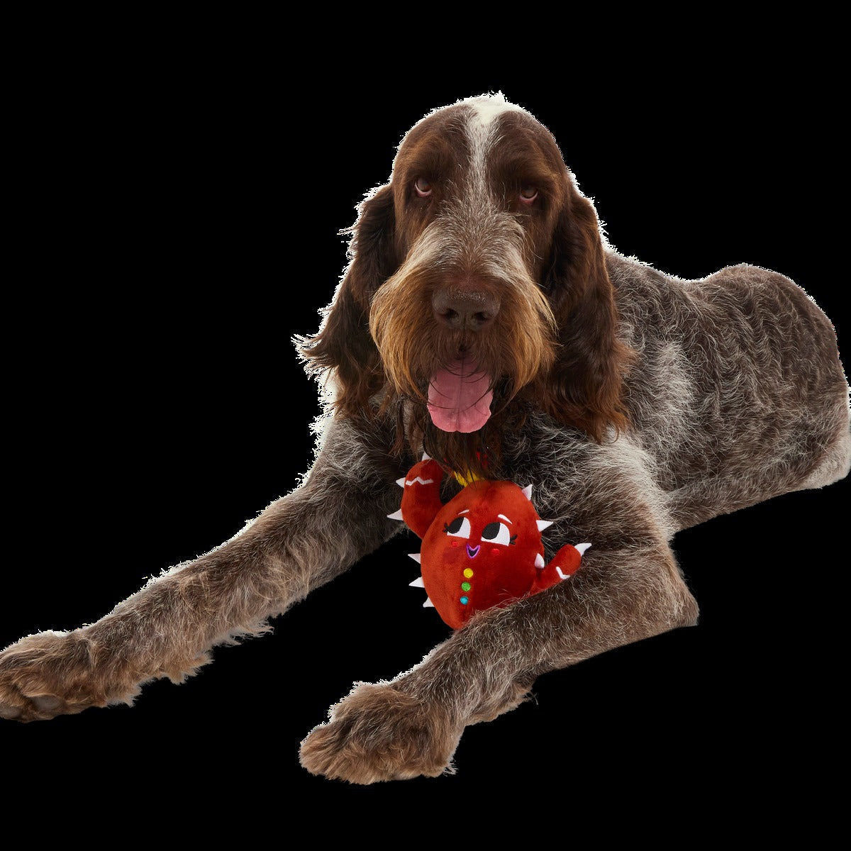 Consuela the Cookie Cactus Plush 2-in-1 Rip and Reveal Dog Toy