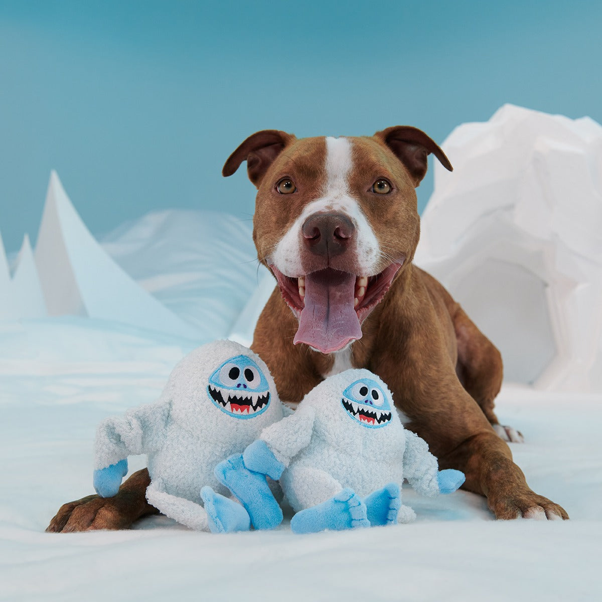 BumbleTM Plush Tug Dog Toy
