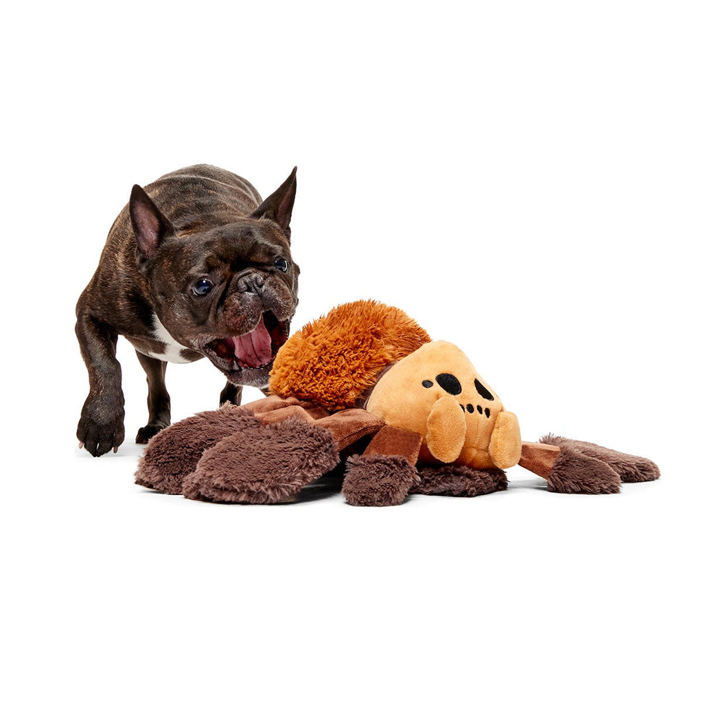 AragogTM Plush Extra-Large + Tug Dog Toy