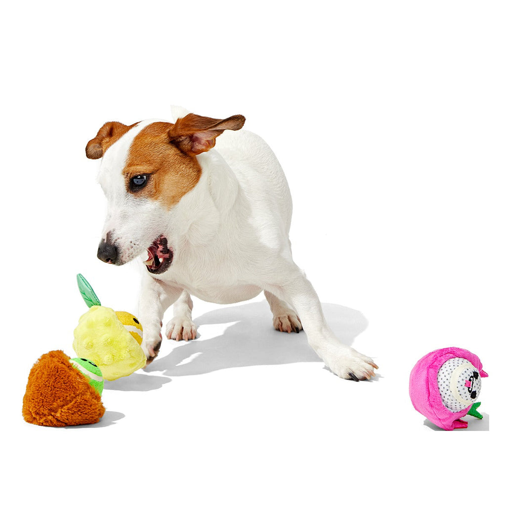 Fruity Cutie Tropical Trio Plush Multi-Part + Fetch Dog Toy