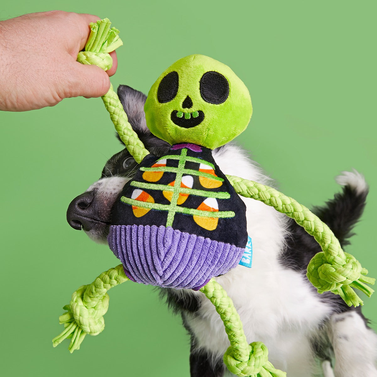 Moldy Barry Bones Plush Tug Dog Toy