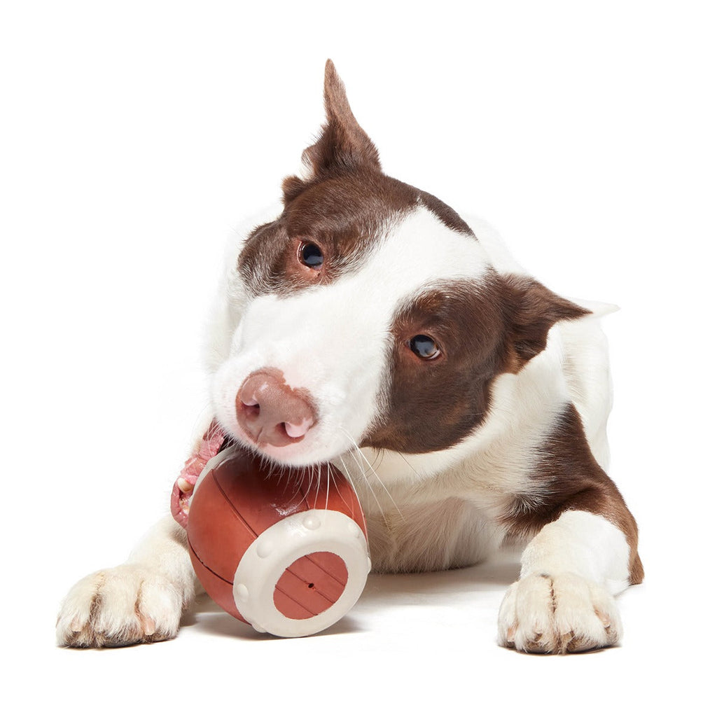 Roll Over A Barrel Super Chewer Durable Enrichment Dog Toy