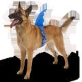 Bark Fin Plush Tug + Wearable Dog Toy