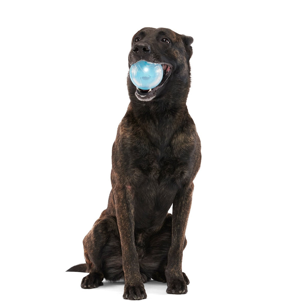 Apex Puzzler Super Chewer Durable Enrichment + Fetch Dog Toy