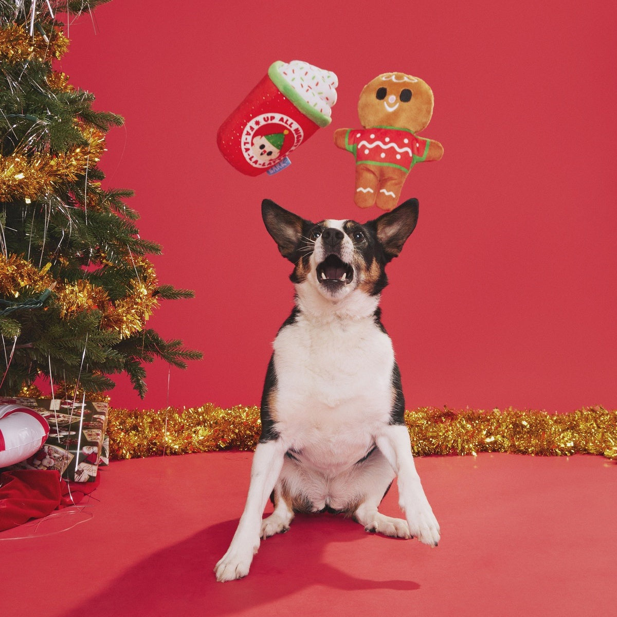 Ginger Brew Crew Plush Multi-Part Dog Toy