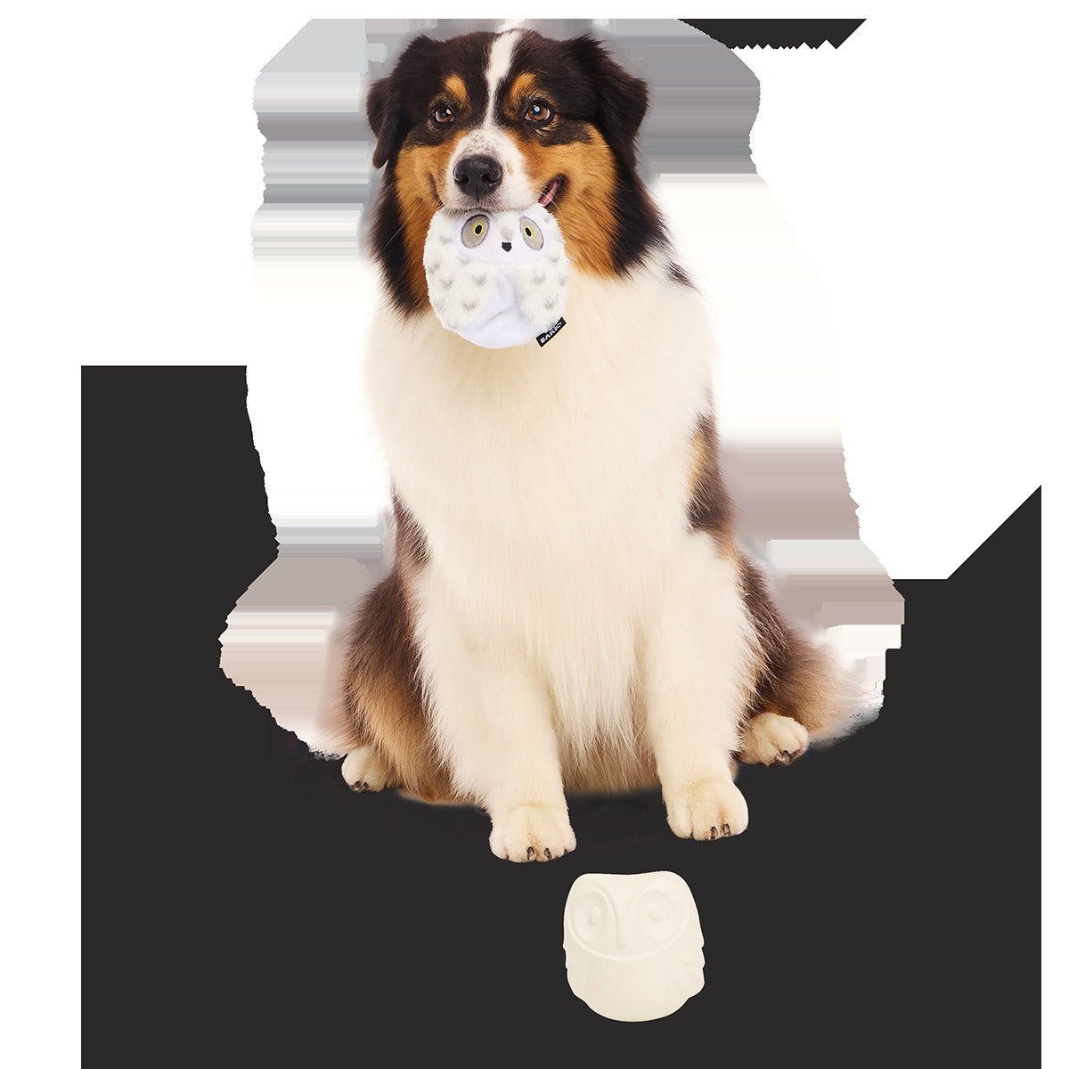 HedwigTM the Owl Super Chewer Durable 2-in-1 + Fetch Dog Toy
