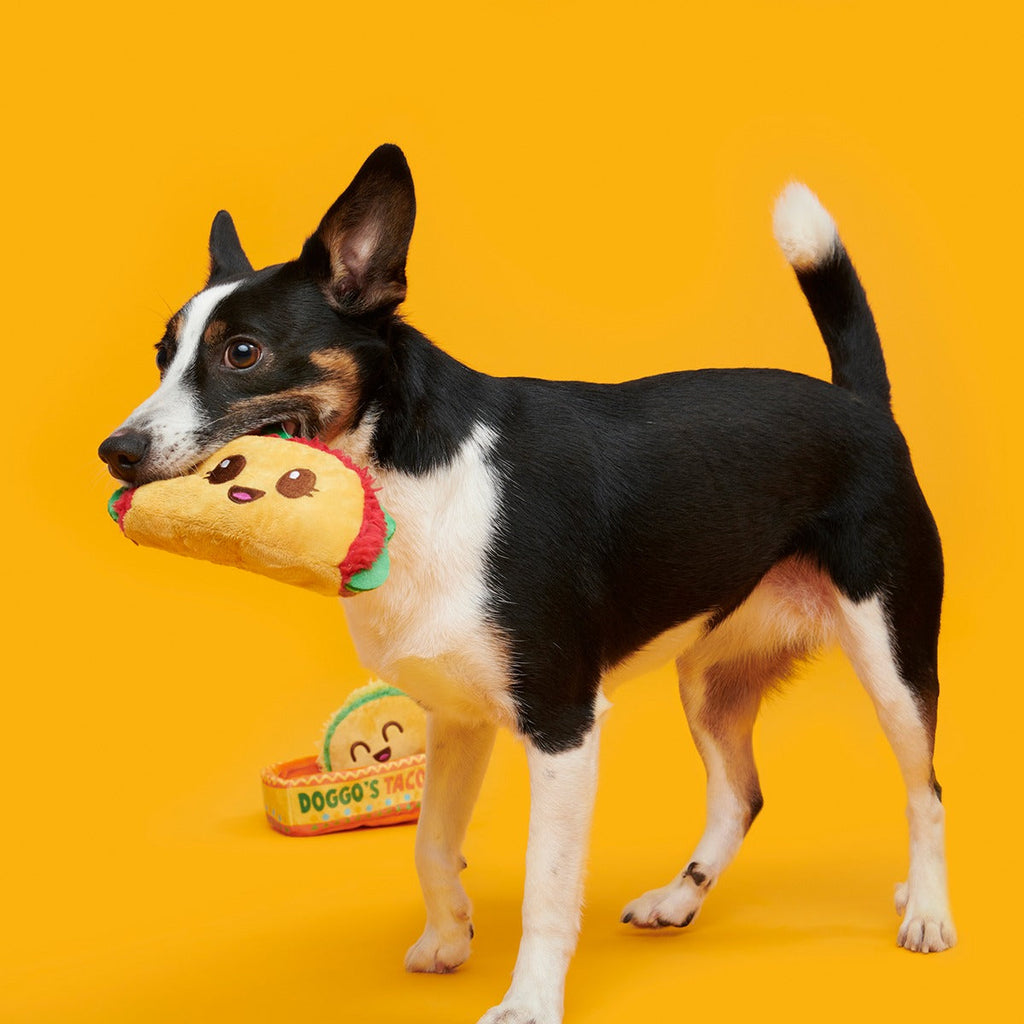 Doggo's Tacos Plush Multi-Part Enrichment Dog Toy