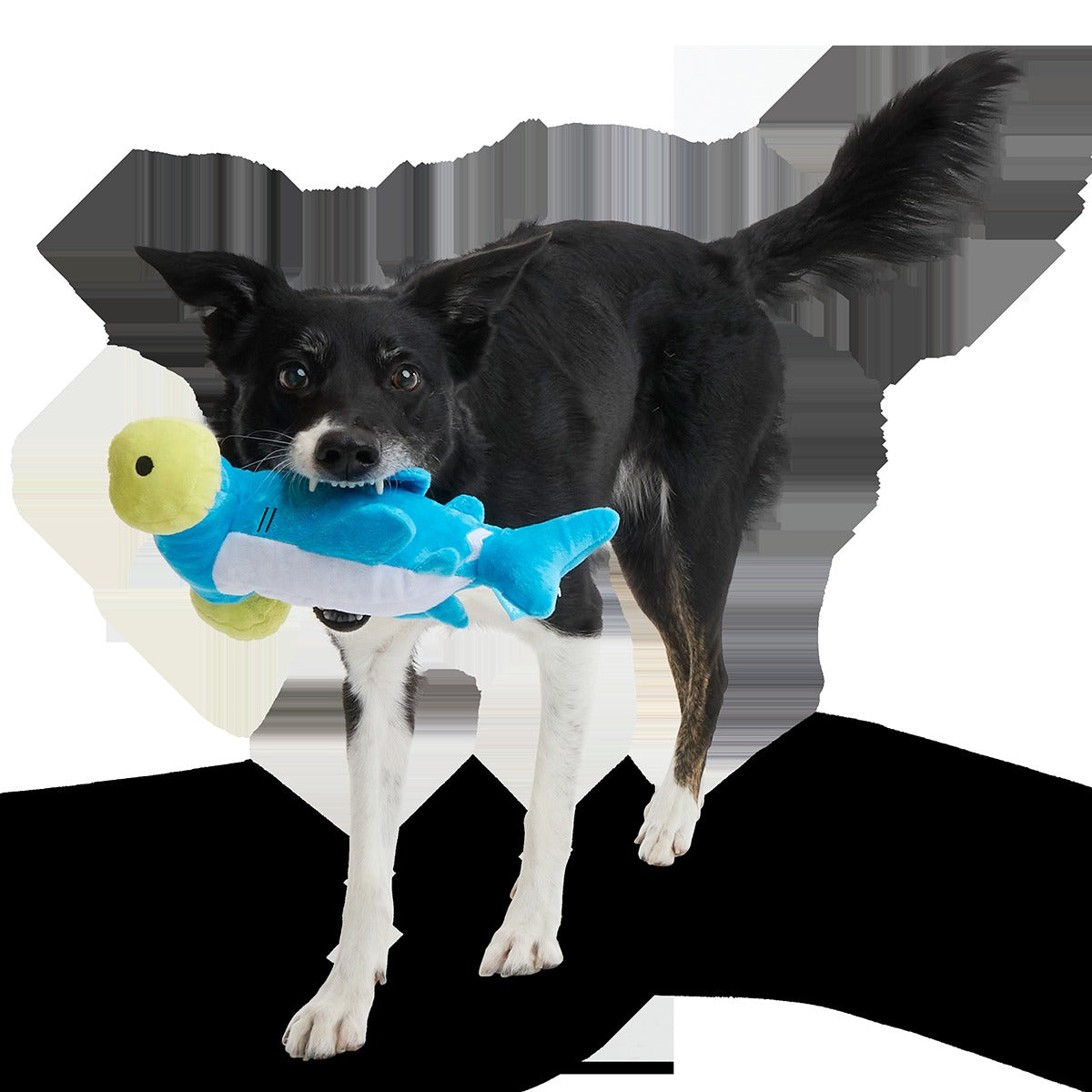 Hammerin' Hank the Shark Plush Tug Dog Toy