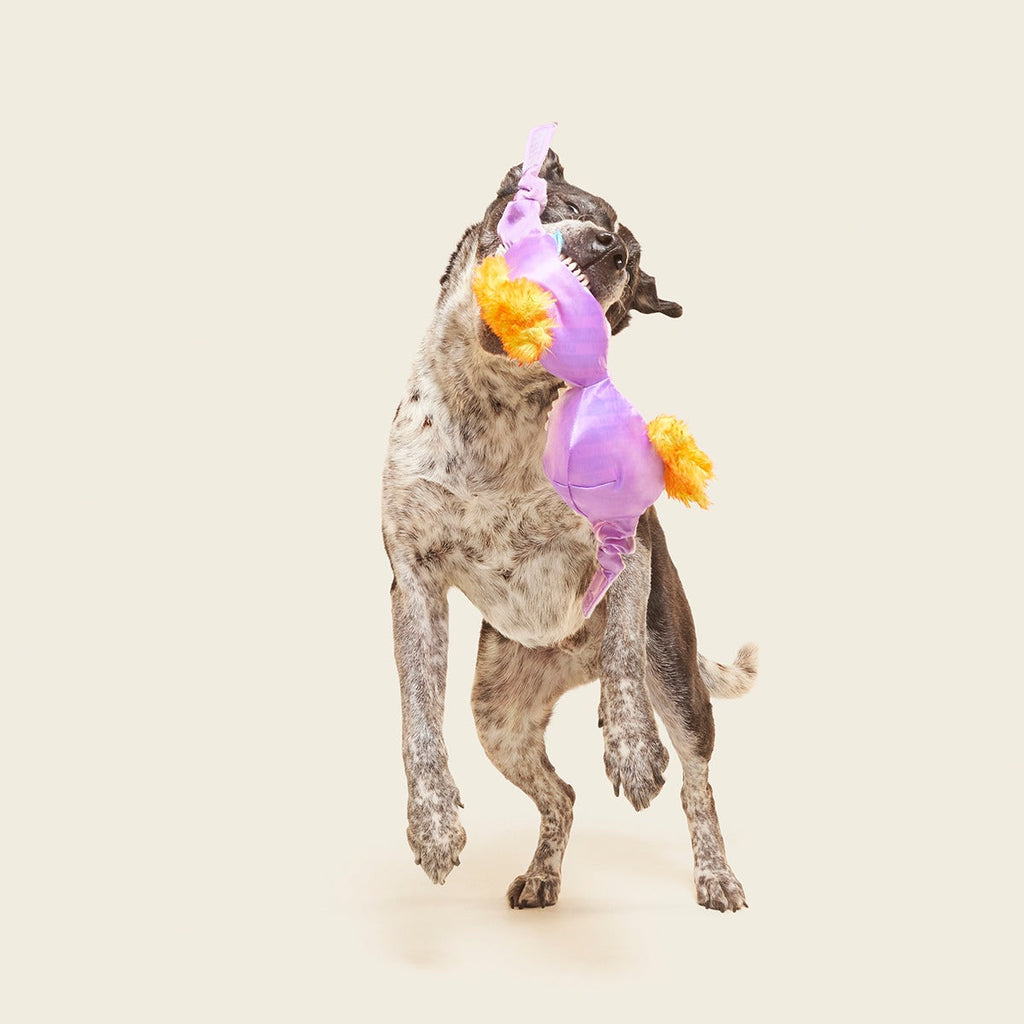 Bite the Patriarchy Plush Tug Dog Toy