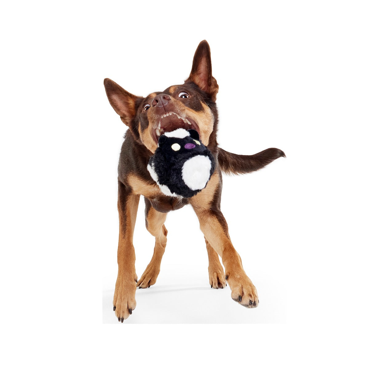 Hunky Skunky Super Chewer Durable 2-in-1 + Fetch Dog Toy
