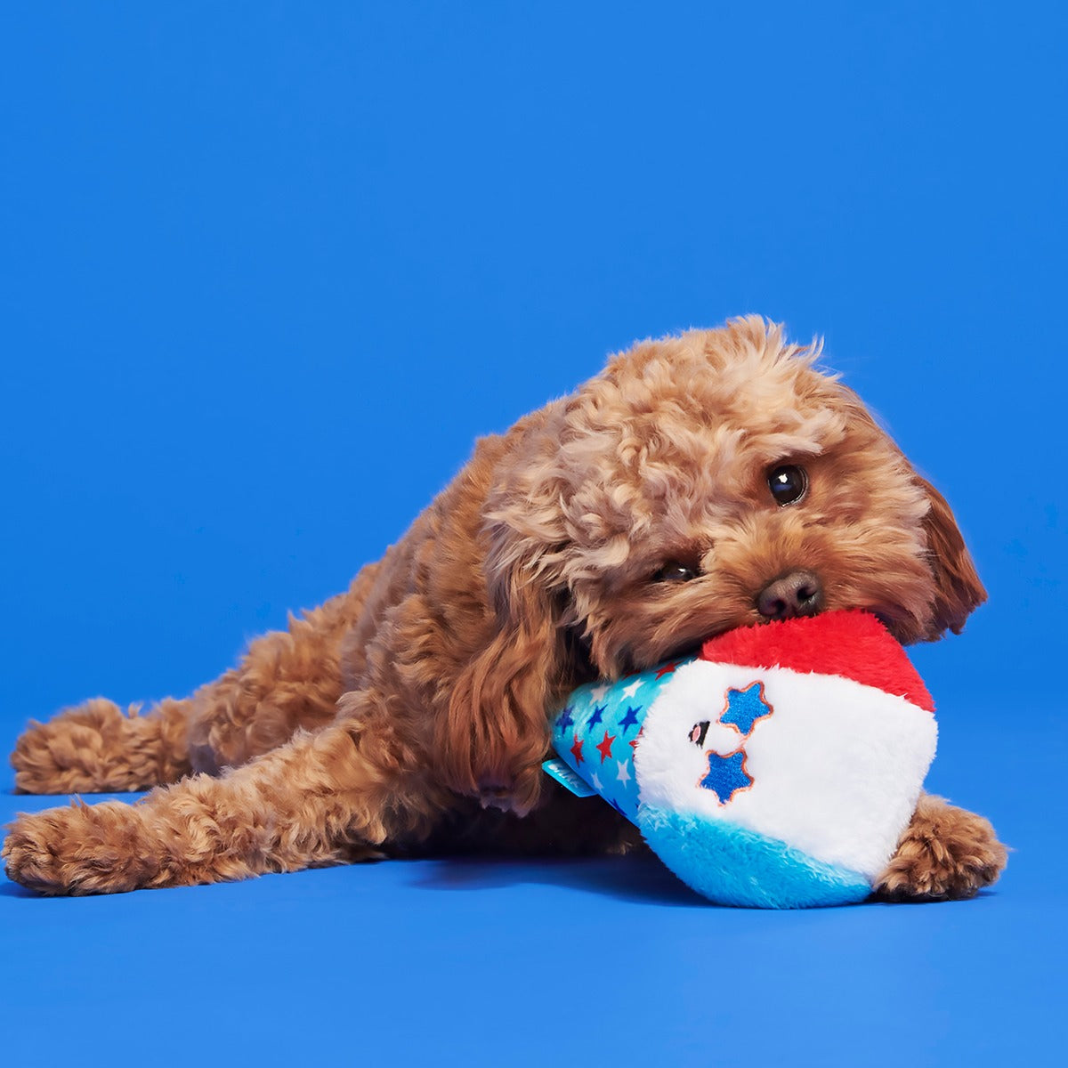 Liberty Cone Plush Dog Toy