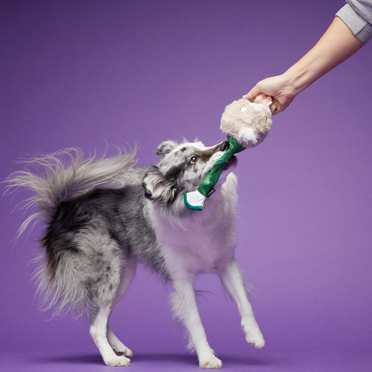 Capricorn Grappler Super Chewer Durable 2-in-1 + Tug + Fetch Dog Toy