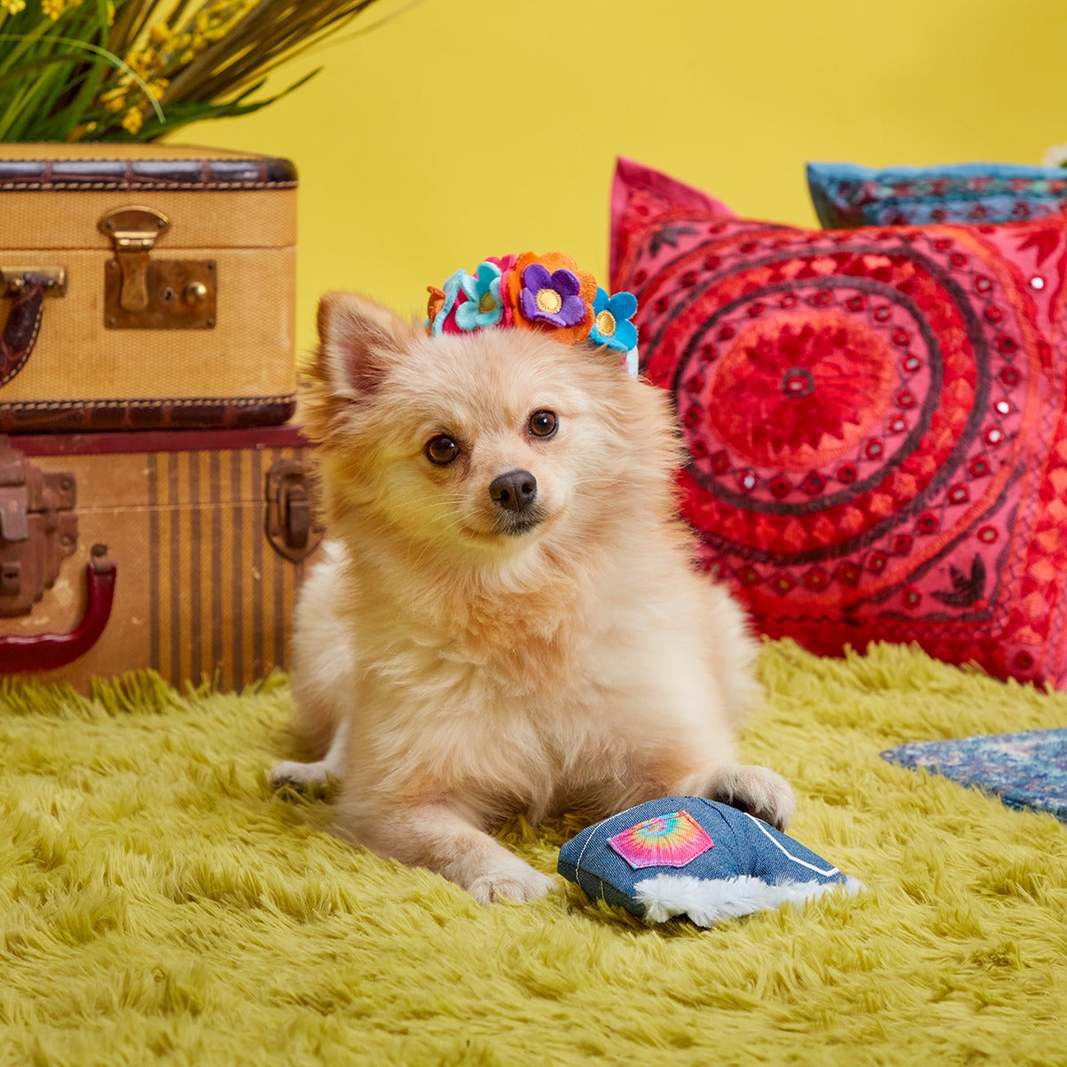 Grrroovy Threads Plush Multi-Part + Wearable Dog Toy