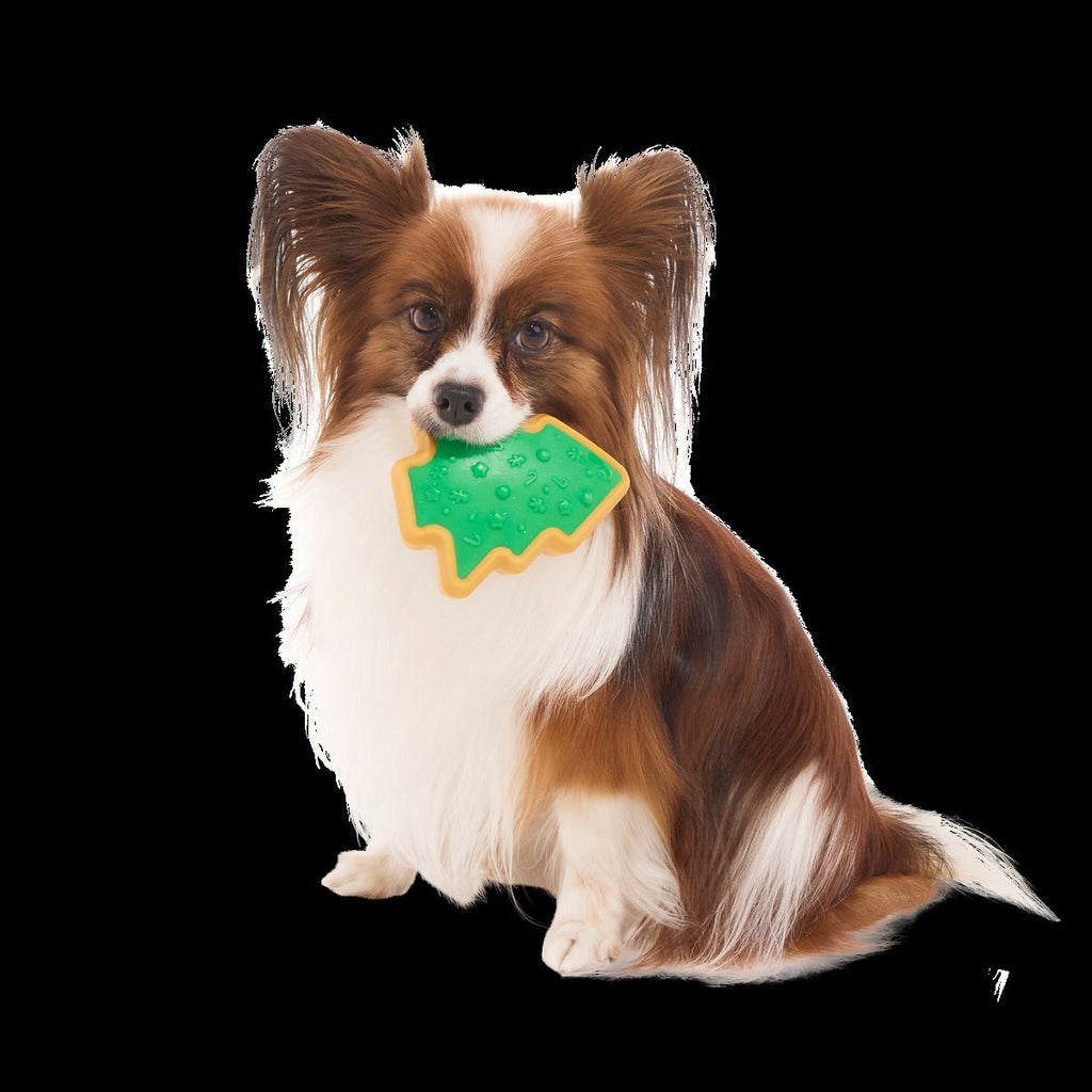 Hard-Baked Sugrrrr Cookie Super Chewer Durable Gnaw + Enrichment Dog Toy