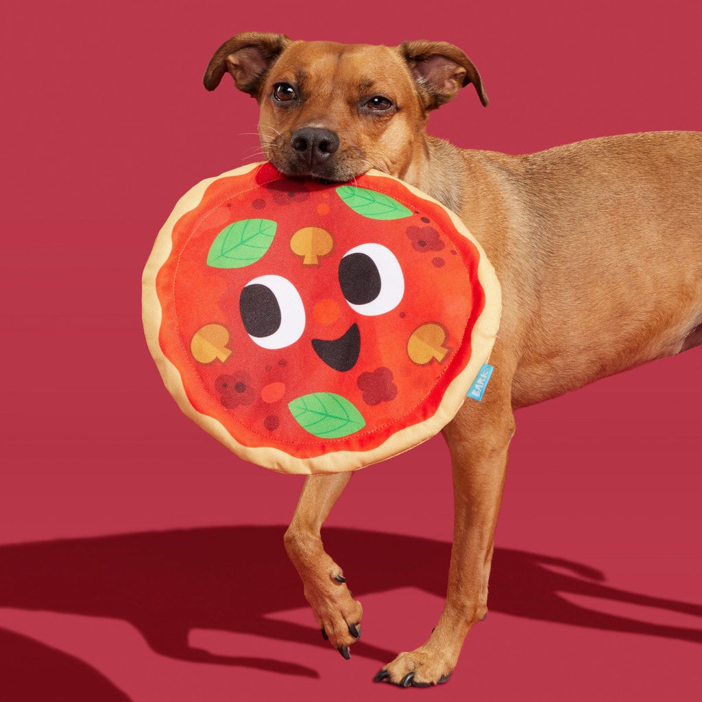 Signore Pizza Face Plush Fetch Dog Toy