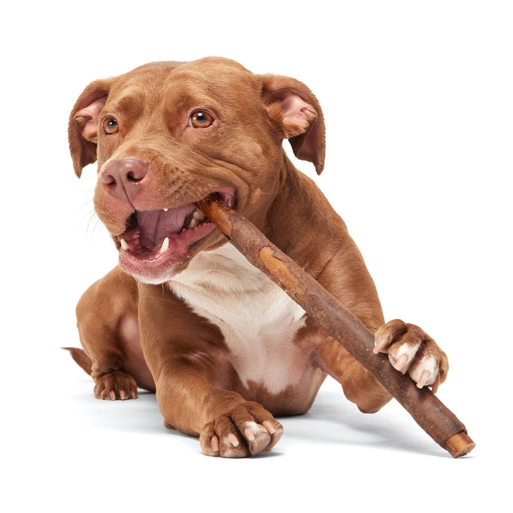 Beefy Chewin' Collagen Dog Chew, 12 inch