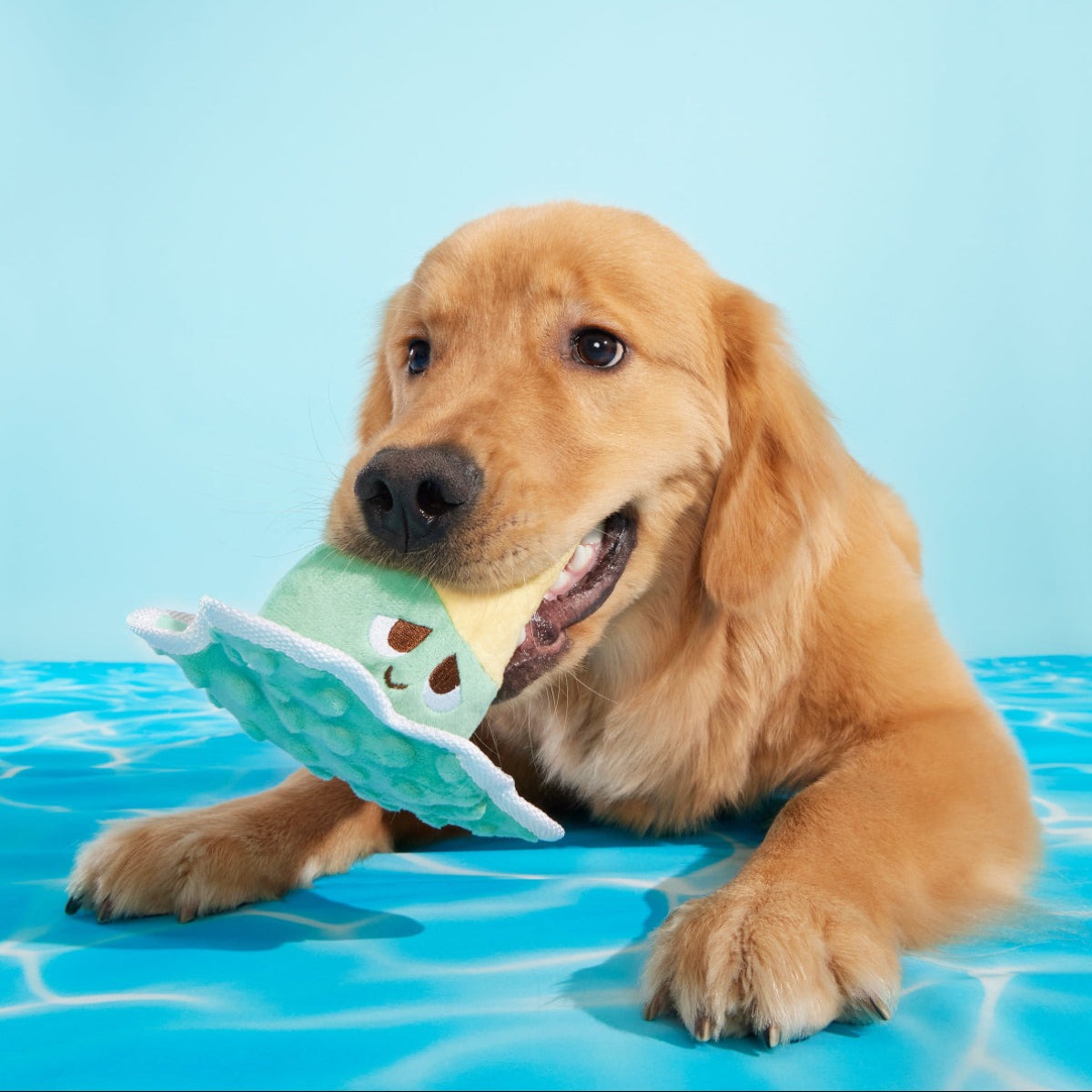 Melty Minty Monty Plush Tug Dog Toy