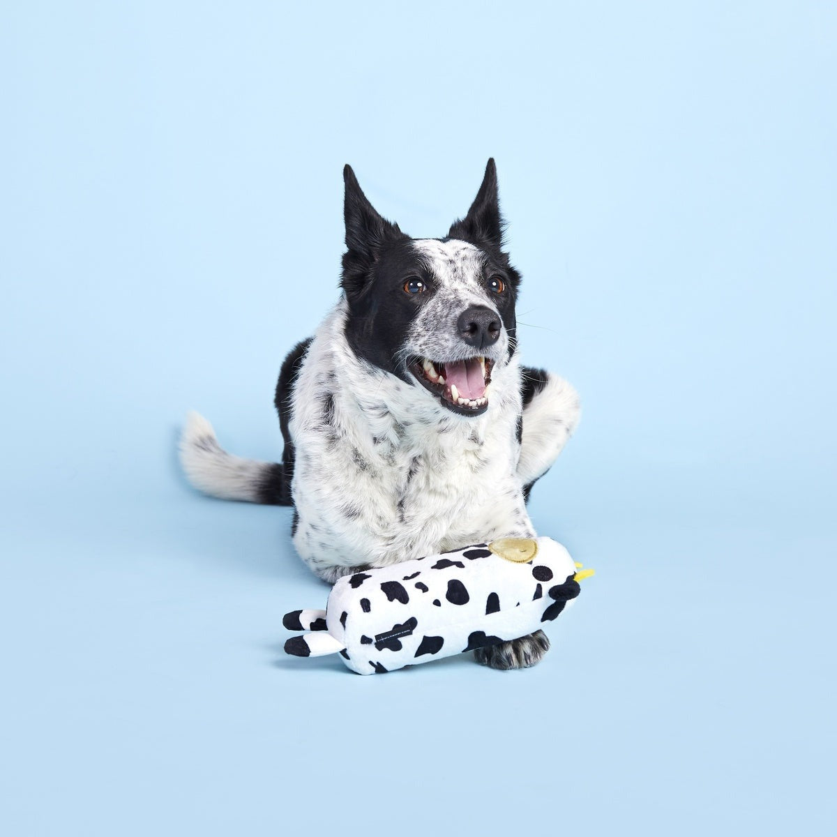 Mad Cow Super Chewer Durable 2-in-1 Dog Toy