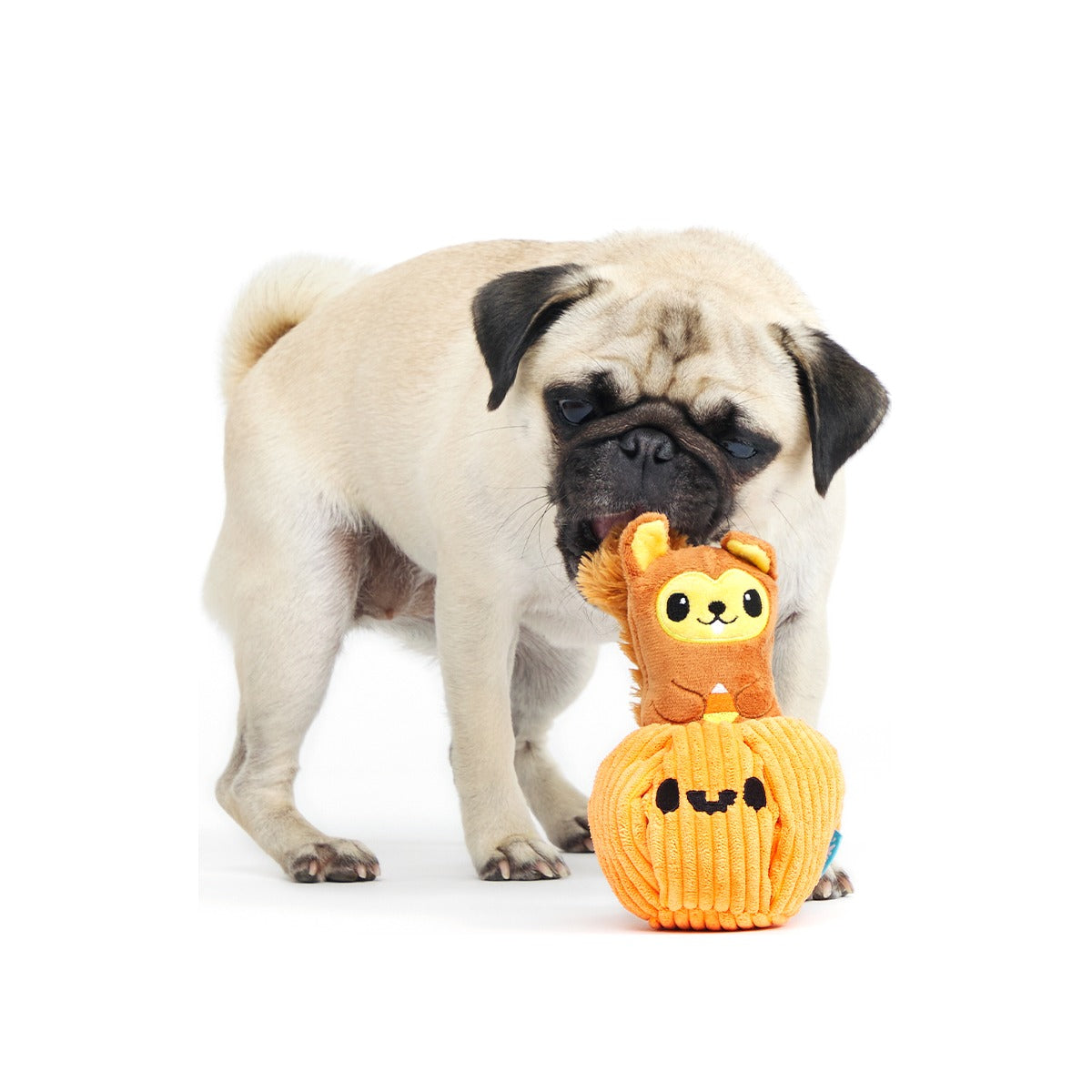 Squirrel-O-Lantern Plush Multi-Part + Enrichment Dog Toy