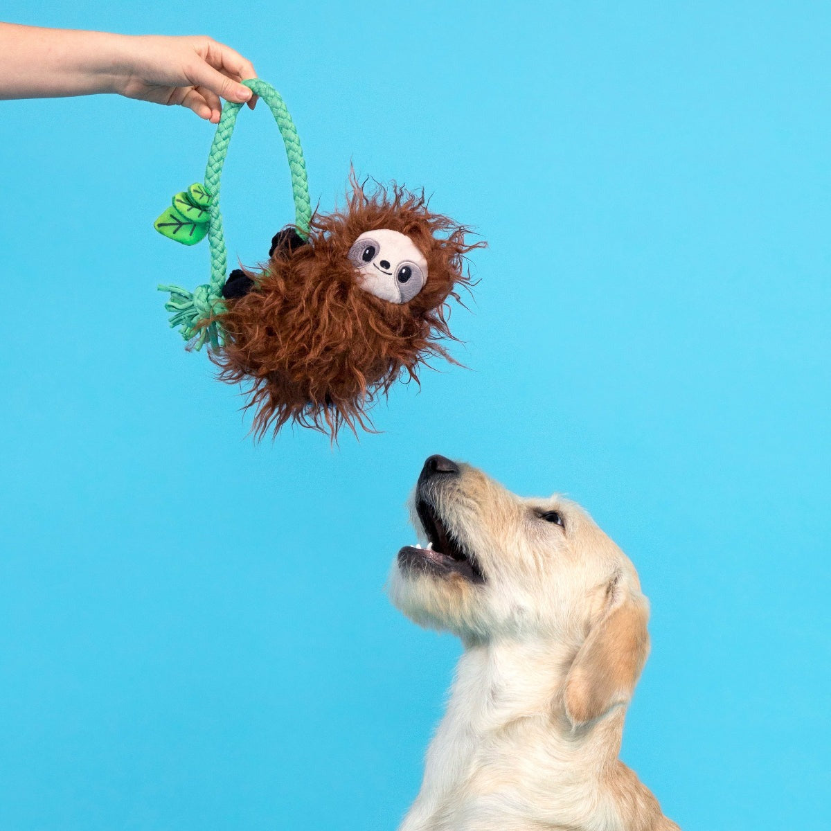 Slo-mo Beau Plush Tug Dog Toy