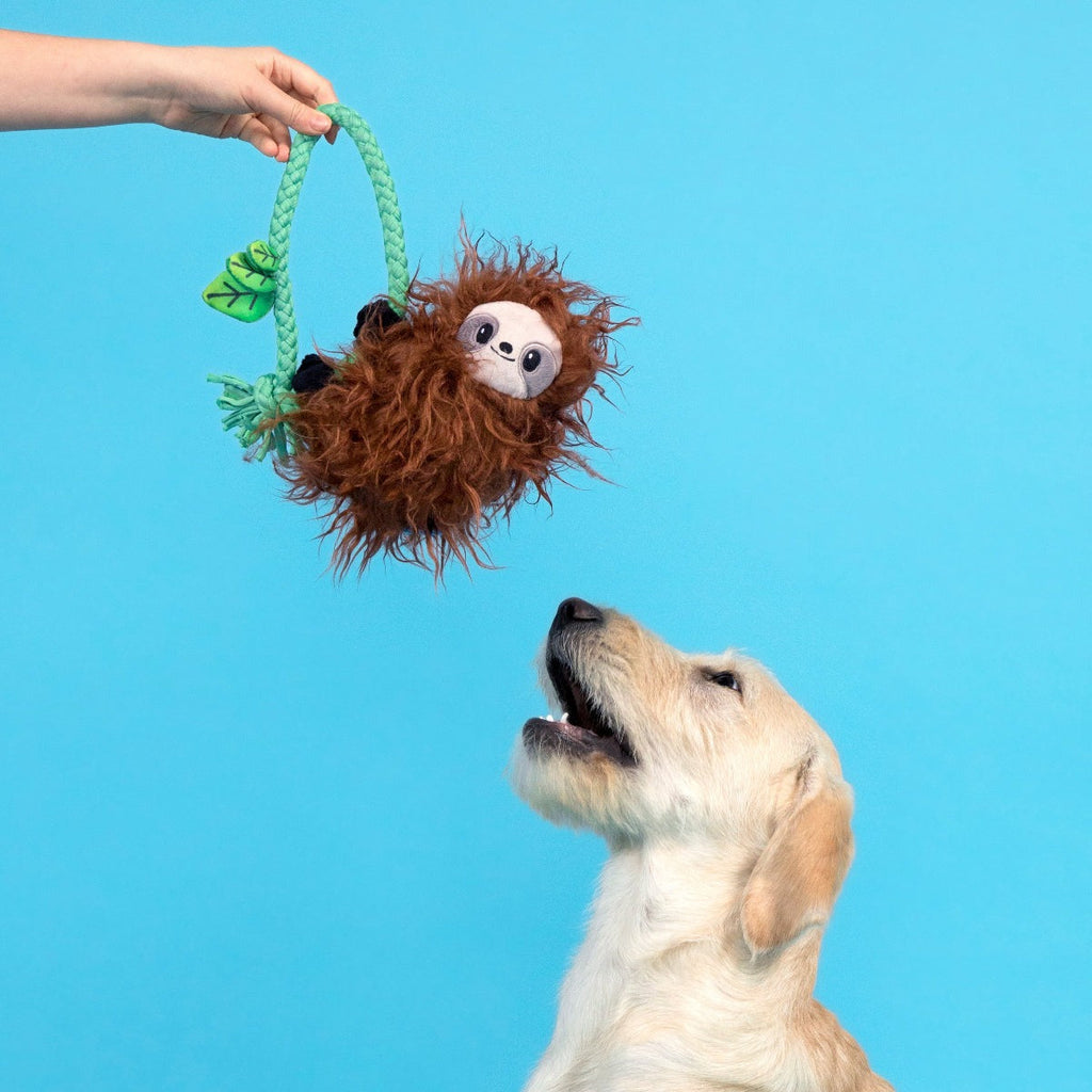 Slo-mo Beau Plush Tug Dog Toy