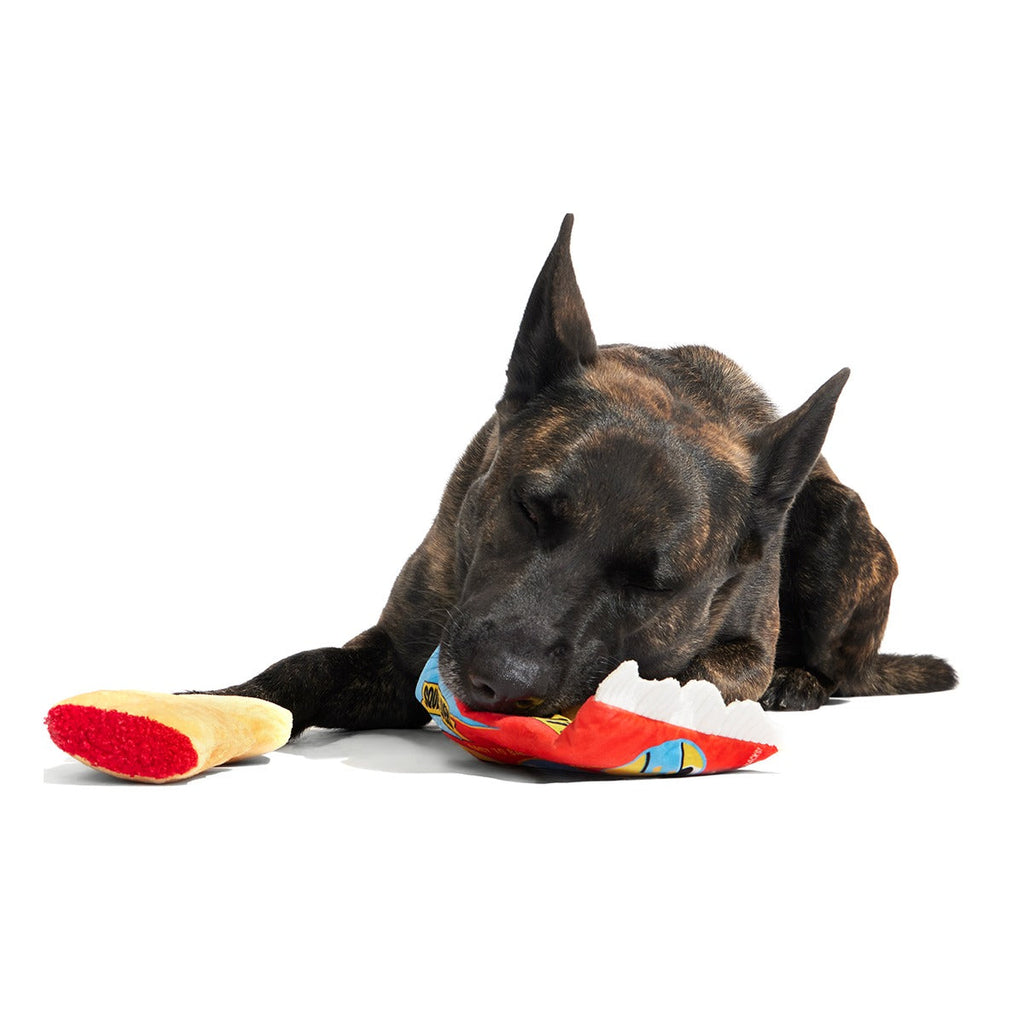 Squeak Lovers Pizza Snacks Plush Multi-Part + Enrichment Dog Toy