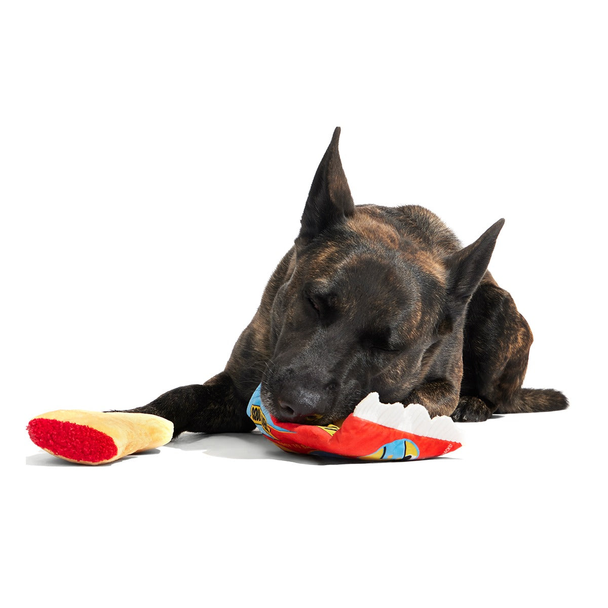 Squeak Lovers Pizza Snacks Plush Multi-Part + Enrichment Dog Toy