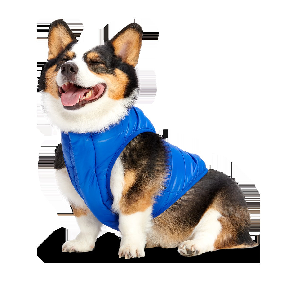 Puffer Dog Vest