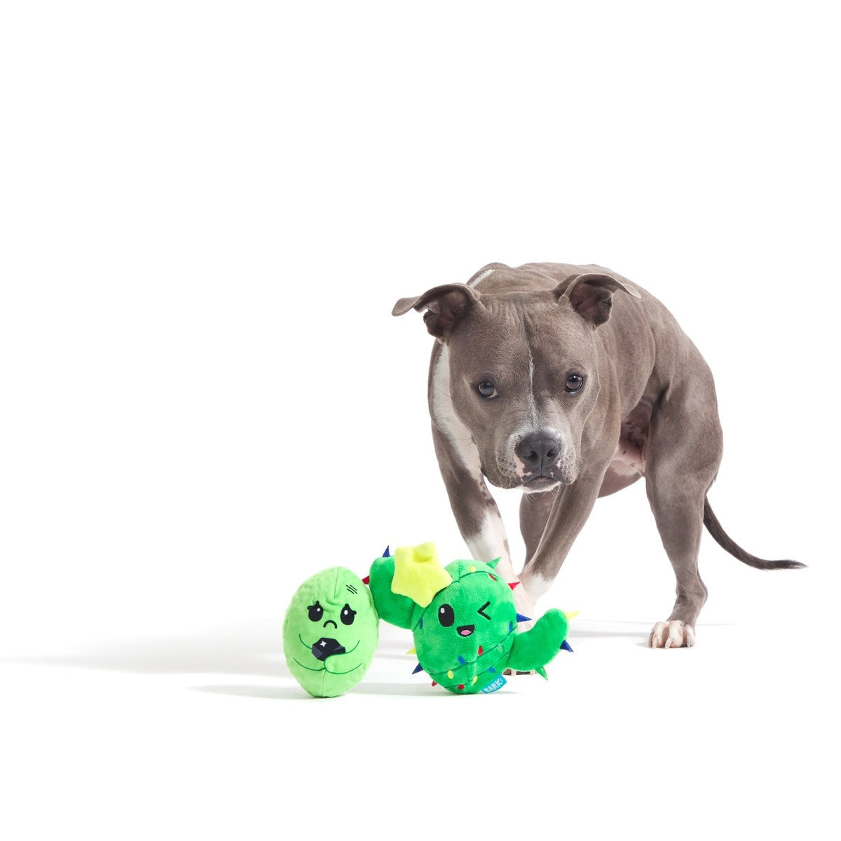 Consuela the Christmas Cactus Rip & Reveal Plush 2-in-1 Rip and Reveal Dog Toy