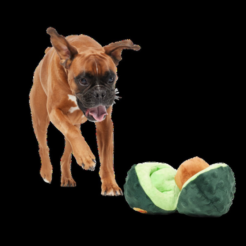 Arfocado Plush Enrichment + Tug Dog Toy