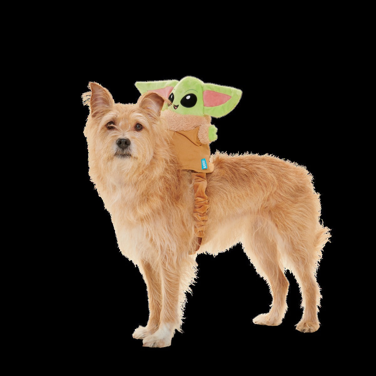 Ride along GroguTM Plush Wearable Tug Dog Toy