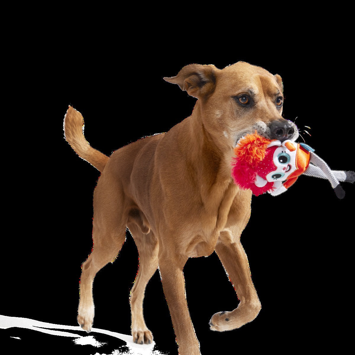 Showsquirrel Plush Tug Dog Toy