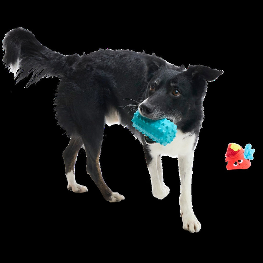 Wetted Willie Super Chewer Durable 2-in-1 Dog Toy