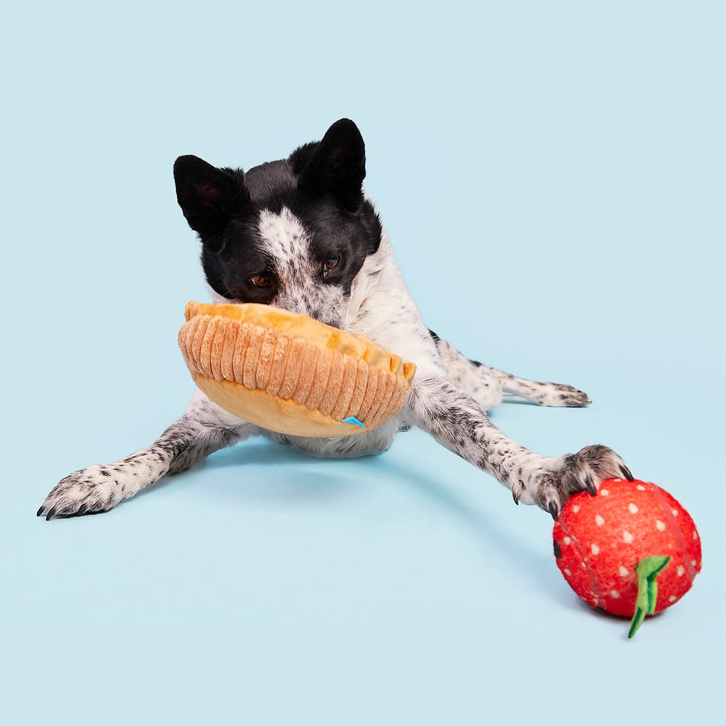 Strawberry Pie Plush Multi-Part + Enrichment Dog Toy
