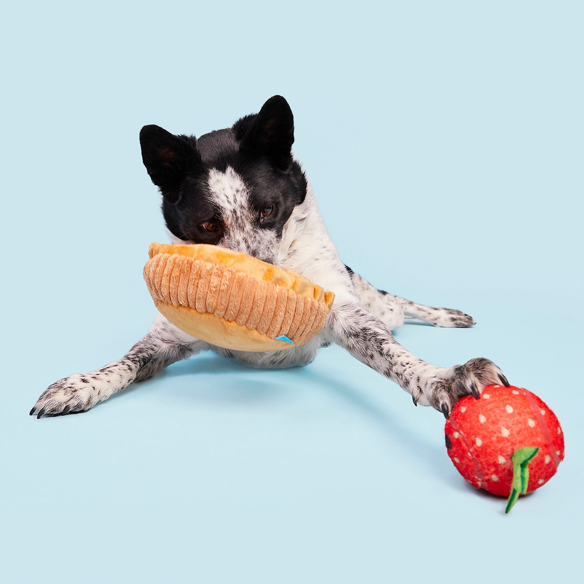 Strawberry Pie Plush Multi-Part + Enrichment Dog Toy