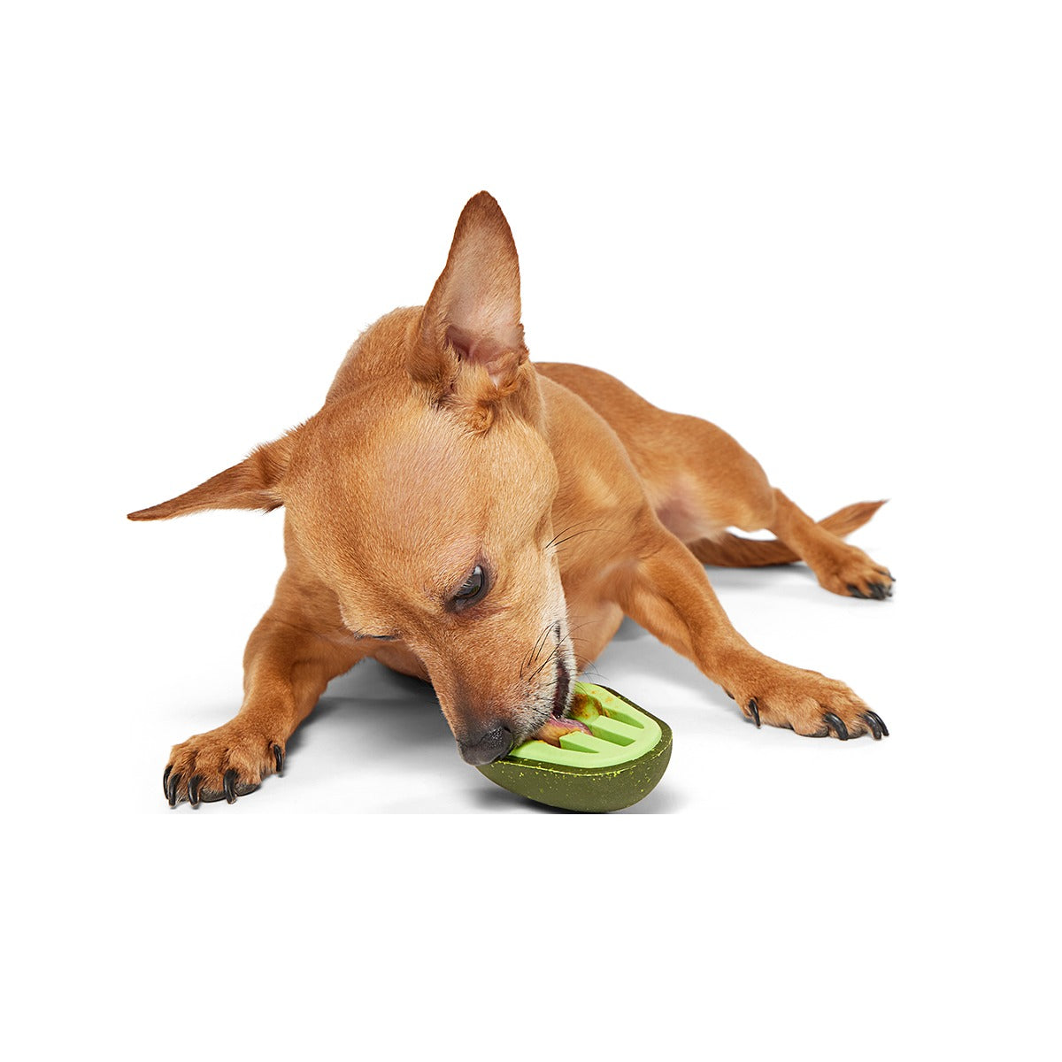 Avocadoggo Super Chewer Durable Enrichment Dog Toy