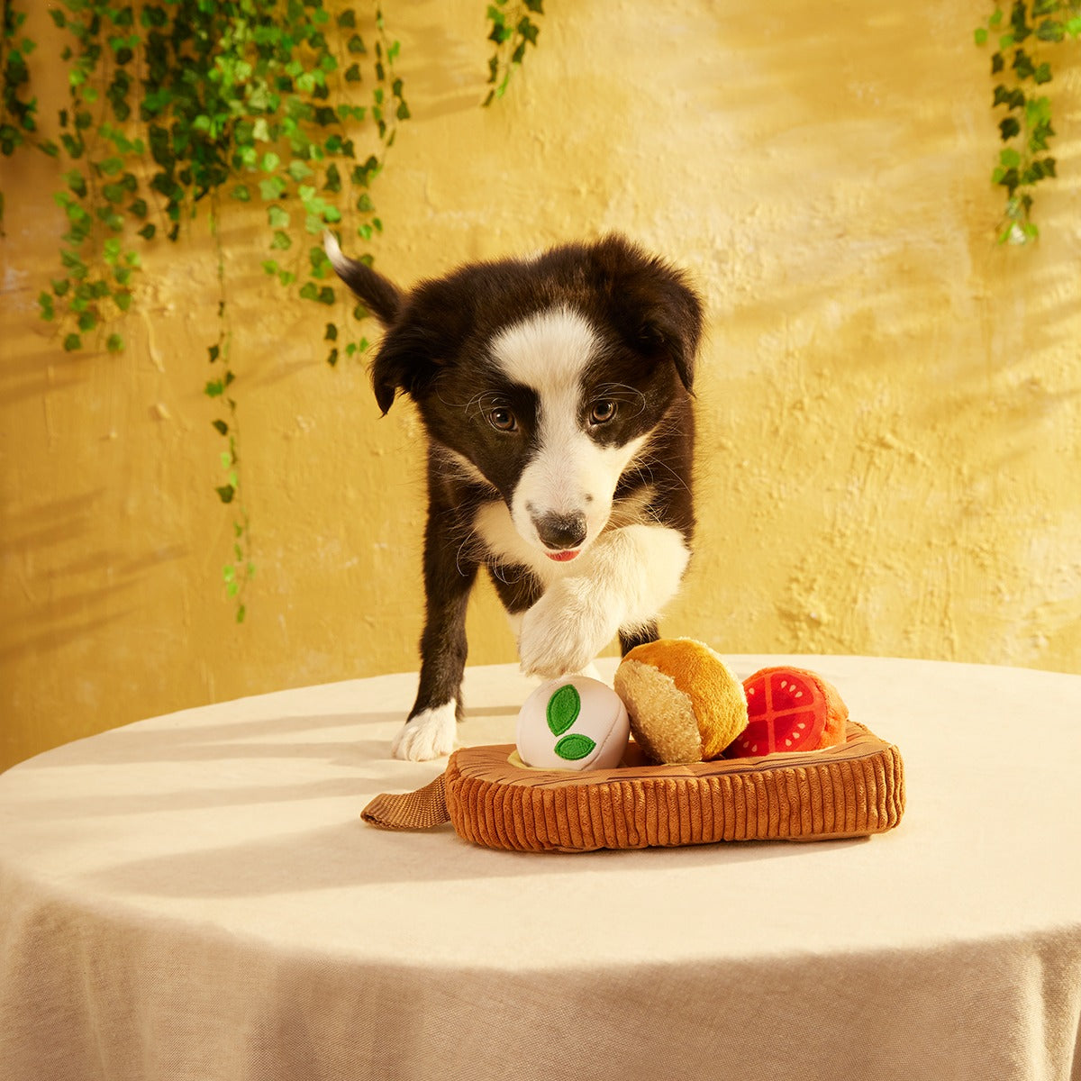 Antipawsto Board Plush Multi-Part + Enrichment Dog Toy