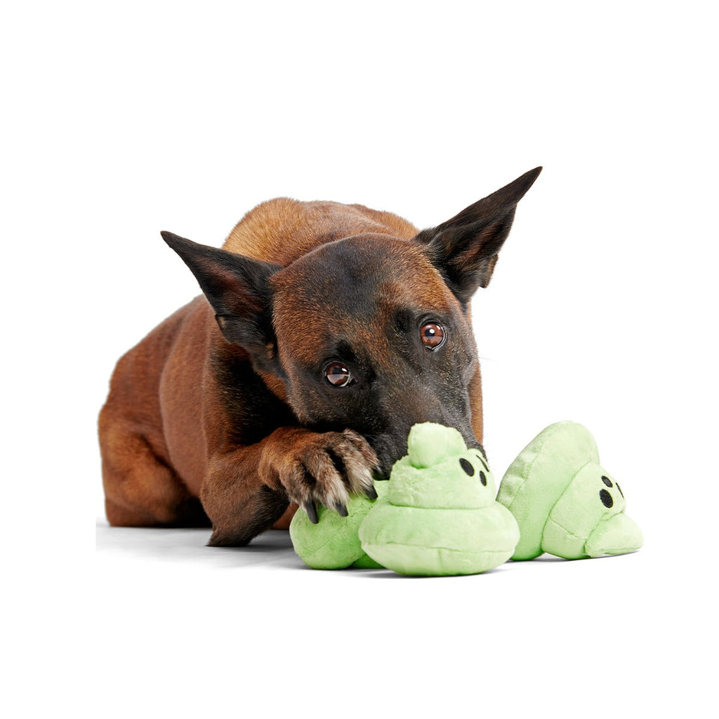 Spoopy Poopies Plush Multi-Part Dog Toy